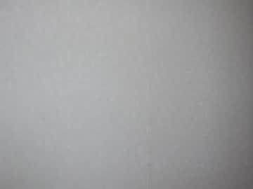 webcam girl alice_rays_ today image #3852006