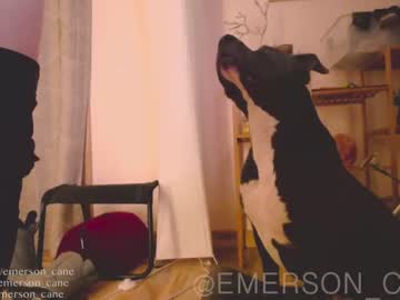 webcam girl emersoncane today image #529018