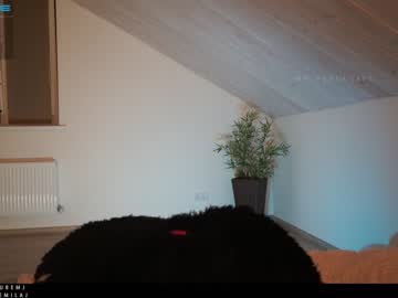 webcam girl ms_seductive today image #2967504