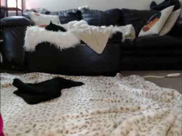 webcam girl shastathecat today image #3573589