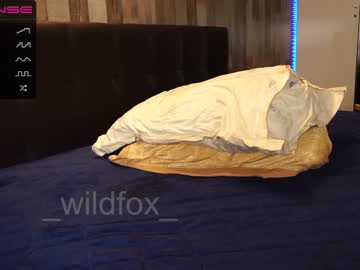 webcam couple _wildfox_ today image #2348268