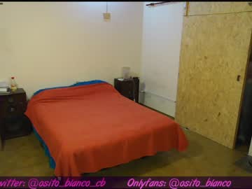 webcam couple osito_blanco today image #2347309