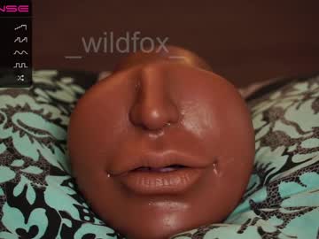 webcam couple _wildfox_ today image #2103965