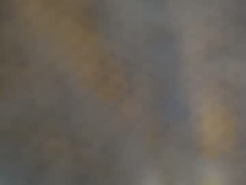 webcam man justanormaldick69 today image #3305490