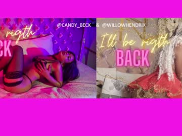 webcam girl willow_hendrix today image #3122325