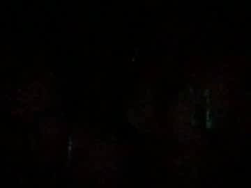 Cam for sluttysolstice