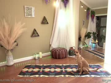 webcam girl phoenix_taylor today image #2416263