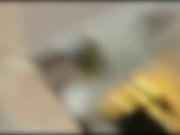 webcam couple di_n_alex today image #3899082
