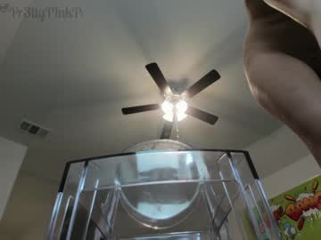 webcam girl pr3ttyp1nkpussy today image #436849