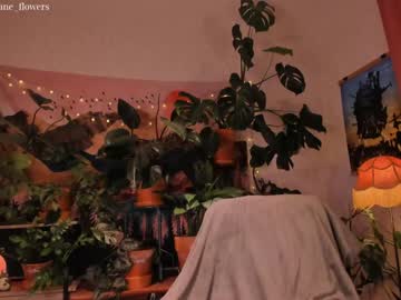 webcam girl jane_flowers today image #3606192