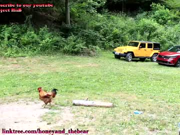 webcam couple honeyand_thebear today image #2123009