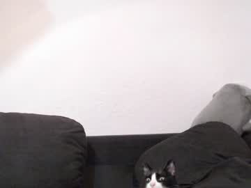 webcam girl ohmysweetkitty today image #2661821
