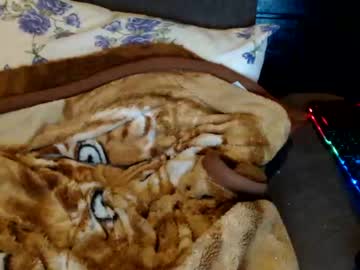 webcam tranny renatinha_trans today image #3321363