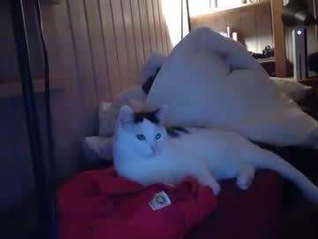 webcam man mattherz today image #434585