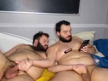 webcam man 2bears1pup today image #1005855