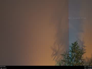 webcam girl ms_seductive today image #2042665