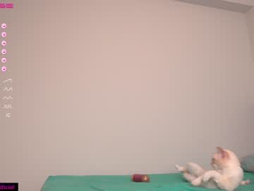 webcam girl the_hot_ruby today image #2202340