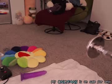 webcam girl evelynpiers today image #3435668