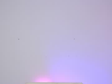 webcam girl sapphirealice today image #1532456