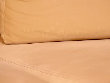 webcam girl shycinderella today image #2349086