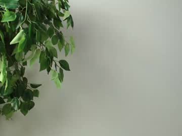 webcam girl trixie_taylor today image #2982351