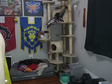 webcam man sydaffect today image #1894159