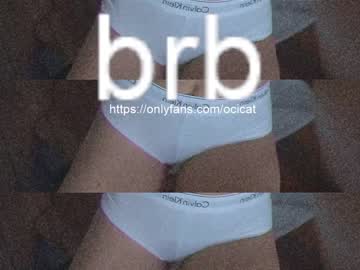 webcam girl ocicat today image #2725992