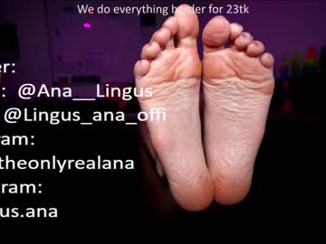 webcam couple ana__lingus today image #2868219