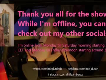webcam girl little_dutch today image #2307219