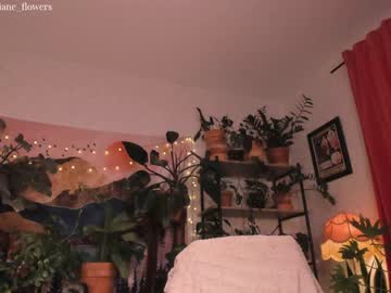 webcam girl jane_flowers today image #1439031