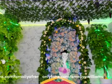 webcam girl amelia__williams today image #1445133