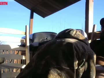 webcam man hardworkertn today image #1295293