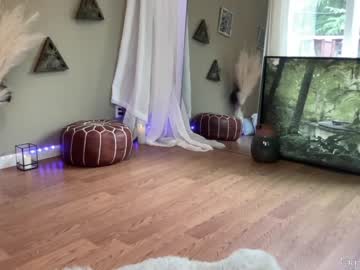 webcam girl phoenix_taylor today image #2403652