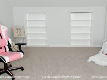 webcam girl foxy_gamer today image #645094