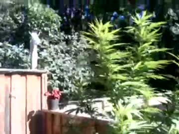 webcam couple nakednow14 today image #2436391