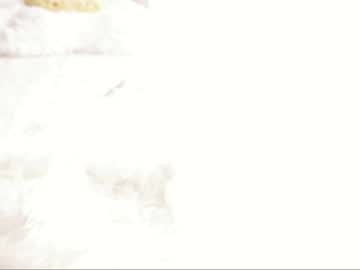 webcam girl clementine__ today image #2578466