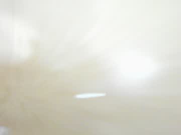 webcam man twinkcamilo today image #428116