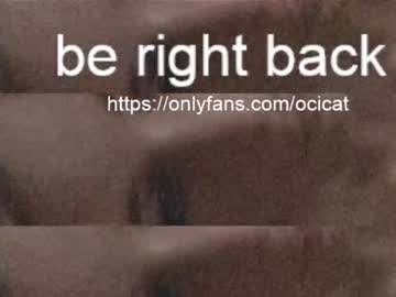 webcam girl ocicat today image #2669374